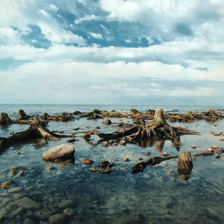 Водный горизонт Куршского залива, вблизи мелководье, камни и остатки деревьев